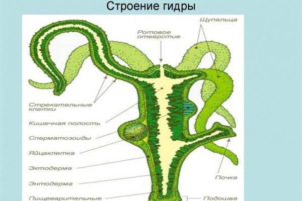 Ссылка кракен